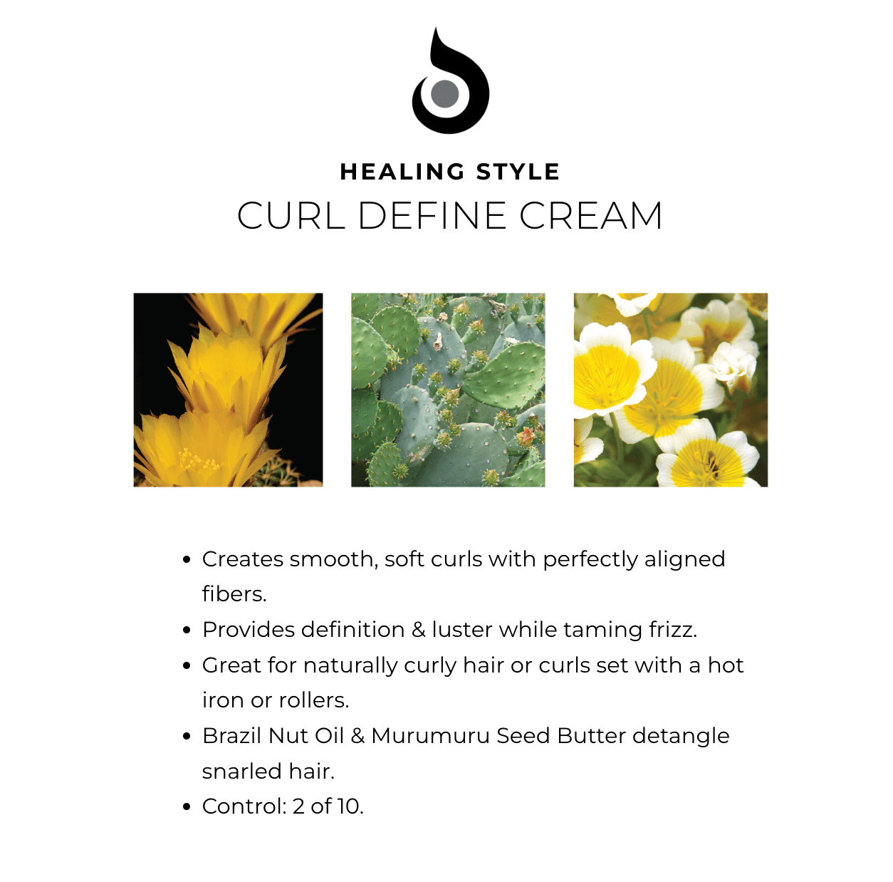 Healing Style Curl Define Cream (4.2 fl oz)